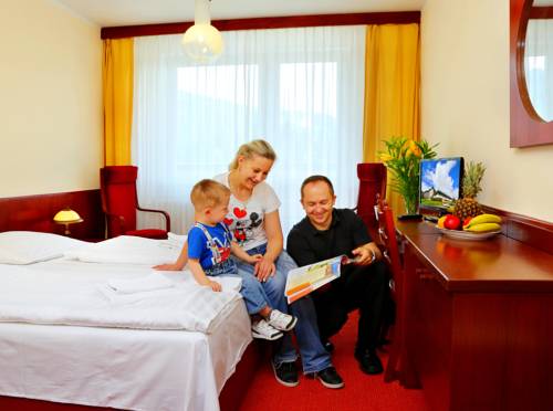 Imagen de la habitación del Hotel Wellness Svornost. Foto 2