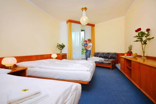 Imagen de la habitación del Hotel Wellness Svornost. Foto 3