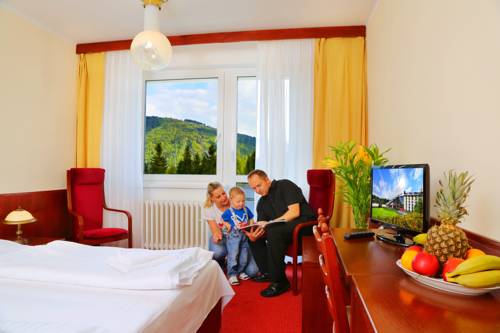 Imagen de la habitación del Hotel Wellness Svornost. Foto 4