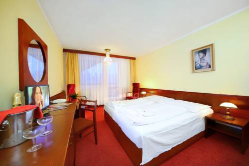 Imagen de la habitación del Hotel Wellness Svornost. Foto 5