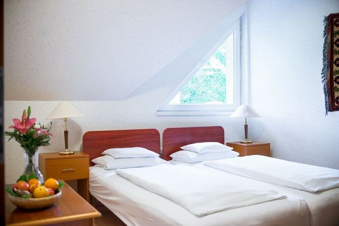 Imagen de la habitación del Hotel Wellness Szindbád. Foto 17