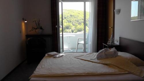 Imagen general del Hotel Wellness Uhlenberg. Foto 6