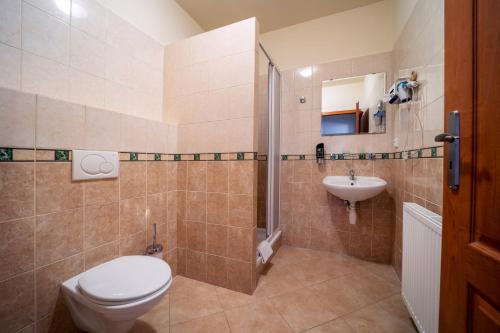 Imagen de la habitación del Hotel Wellness Valnovka. Foto 19