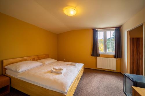 Imagen de la habitación del Hotel Wellness Valnovka. Foto 20