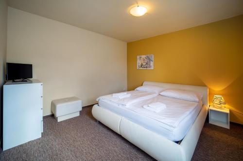 Imagen general del Hotel Wellness Valnovka. Foto 5