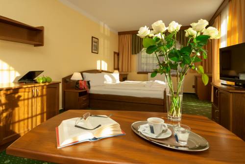 Imagen de la habitación del Hotel Wellness Windsor, Spindleruv Mlyn. Foto 9