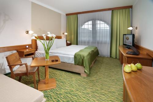 Imagen de la habitación del Hotel Wellness Windsor, Spindleruv Mlyn. Foto 12