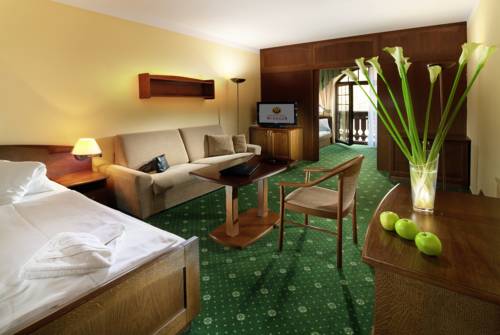 Imagen de la habitación del Hotel Wellness Windsor, Spindleruv Mlyn. Foto 15