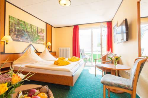 Imagen de la habitación del Hotel Wellness & Ayurveda Am Eichenberg. Foto 5