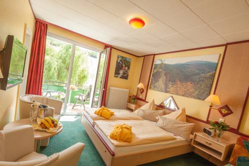 Imagen de la habitación del Hotel Wellness & Ayurveda Am Eichenberg. Foto 7
