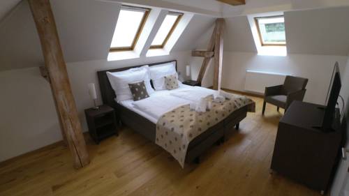 Imagen de la habitación del Hotel Wellness and Spa Villa Regenhart. Foto 15