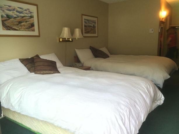 Imagen general del Hotel Wells Gray Inn. Foto 13