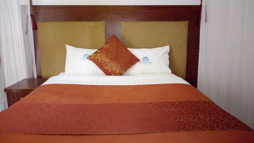 Imagen de la habitación del Hotel Wellsprings. Foto 2