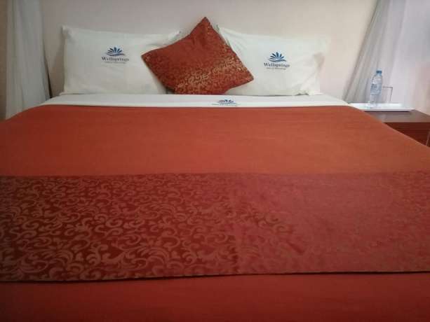 Imagen de la habitación del Hotel Wellsprings. Foto 9