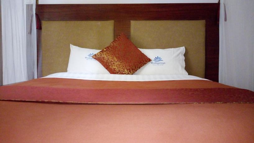 Imagen de la habitación del Hotel Wellsprings. Foto 16