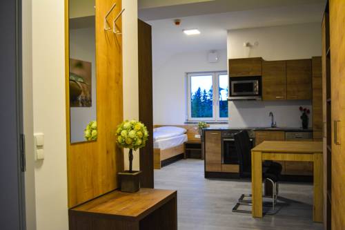 Imagen de la habitación del Hotel Wels Inn. Foto 14