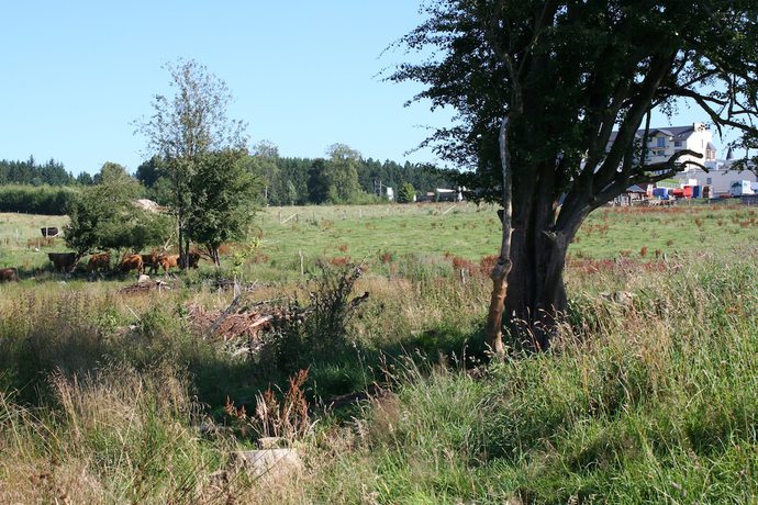 Imagen general del Hotel Wemperhardt. Foto 2