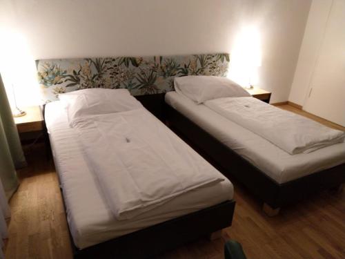 Imagen general del Hotel Wendelstein. Foto 11