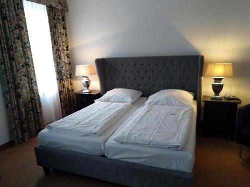 Imagen general del Hotel Wendelstein, Rosenheim. Foto 13