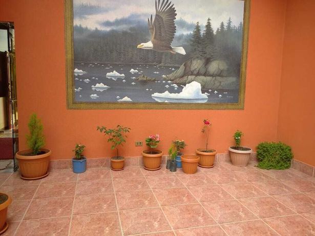 Imagen de los interiores del Hotel Wendy Mar. Foto 16