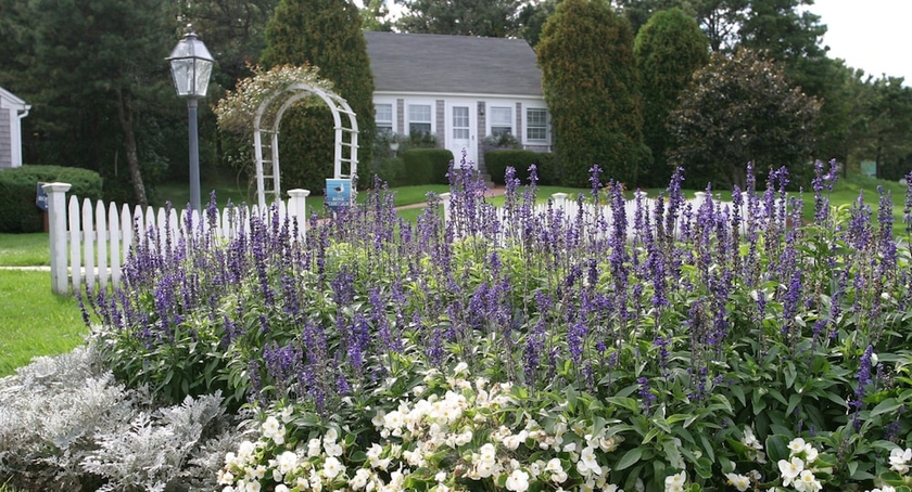 Imagen de la habitación del Hotel Wequassett Resort and Golf Club. Foto 2