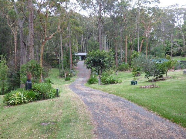 Imagen general del Hotel Werekataba. Foto 13