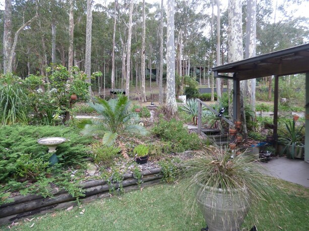 Imagen de los exteriores del Hotel Werekataba. Foto 30