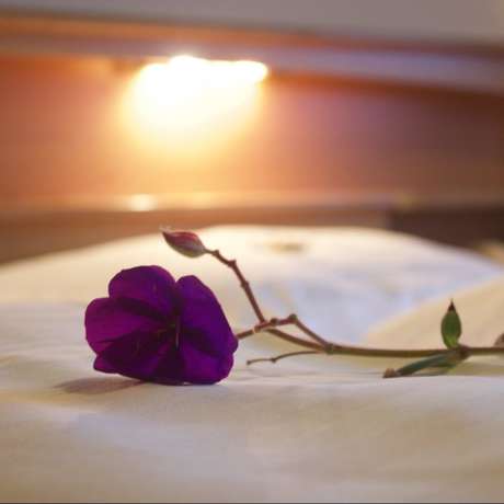 Imagen de la habitación del Hotel Wermelt. Foto 6