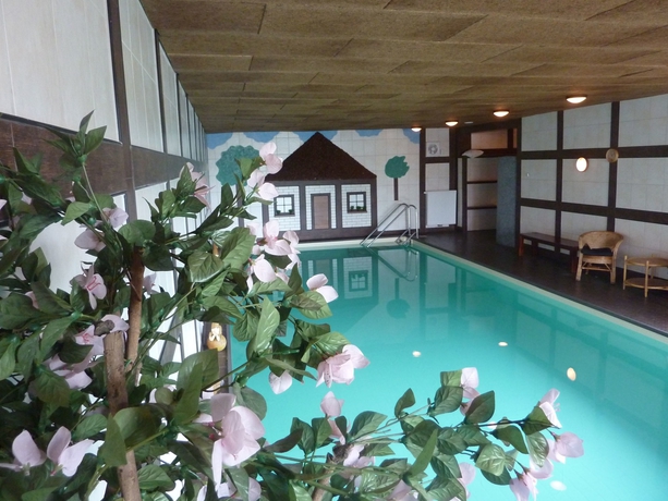 Imagen de la piscina del Hotel Wernerwald. Foto 16