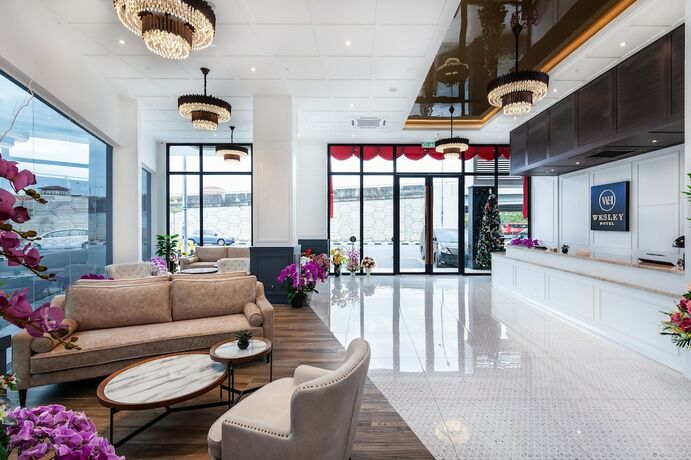 Imagen general del Hotel Wesley Hotel. Foto 7