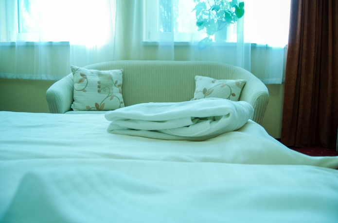 Imagen de la habitación del Hotel West, Bratislava. Foto 3