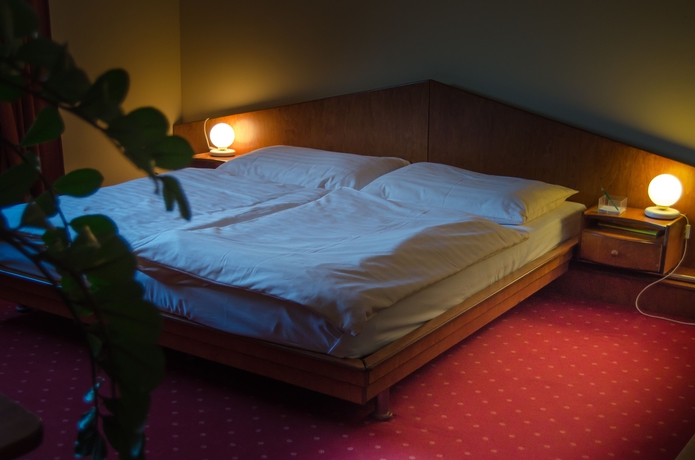 Imagen de la habitación del Hotel West, Bratislava. Foto 5