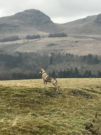 Imagen general del Hotel West Highland Way and Campsite. Foto 14