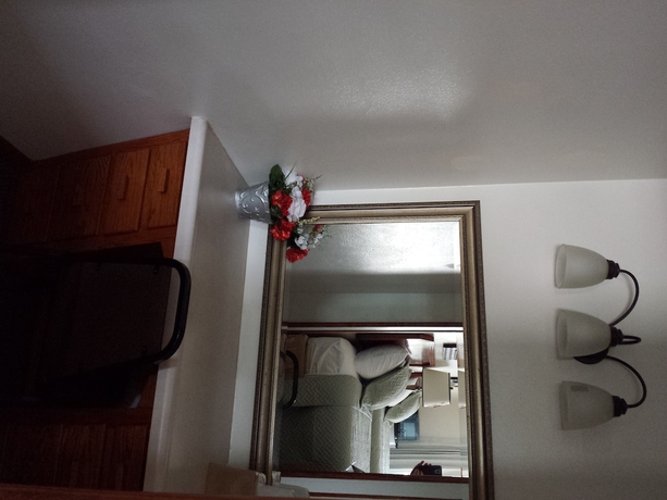 Imagen de la habitación del Hotel West Plains Motel. Foto 10