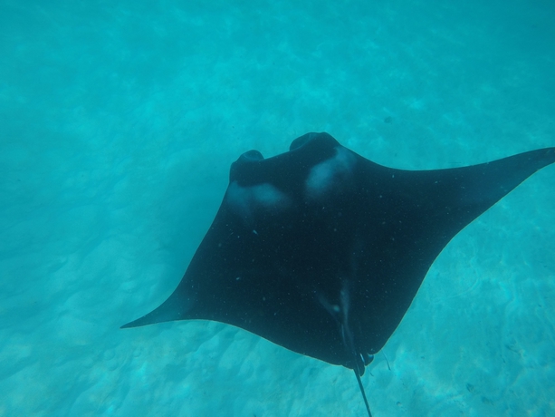 Imagen de los exteriores del Hotel West Sands. Foto 11