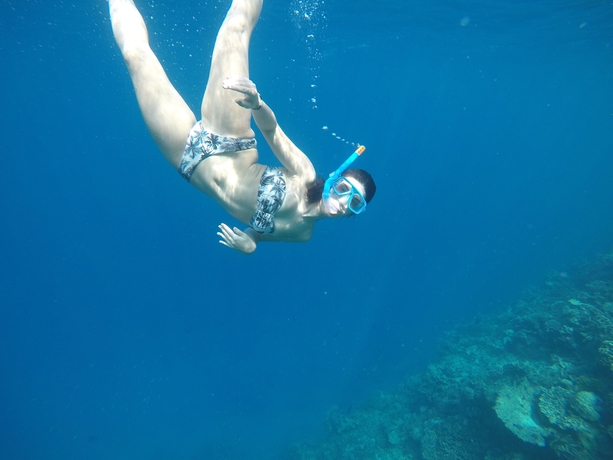 Imagen de los exteriores del Hotel West Sands. Foto 15