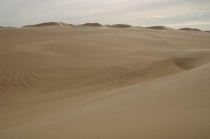 Imagen general del Hotel Western Desert & Safari. Foto 25