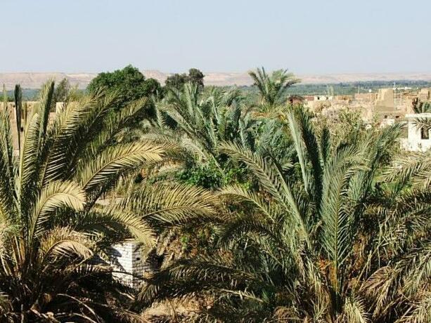 Imagen general del Hotel Western Desert & Safari. Foto 29