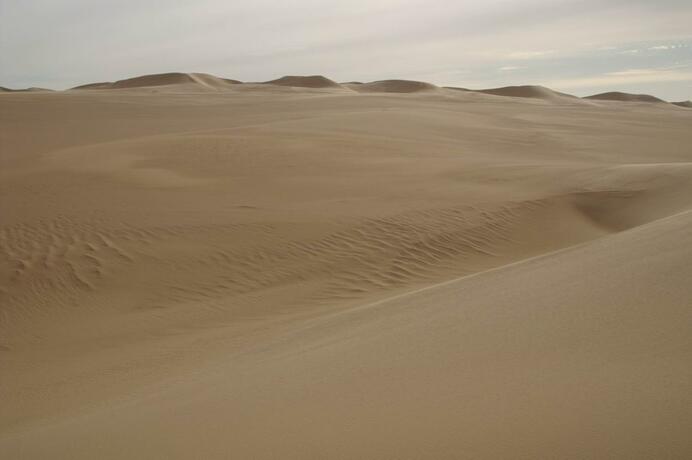 Imagen general del Hotel Western Desert & Safari. Foto 35