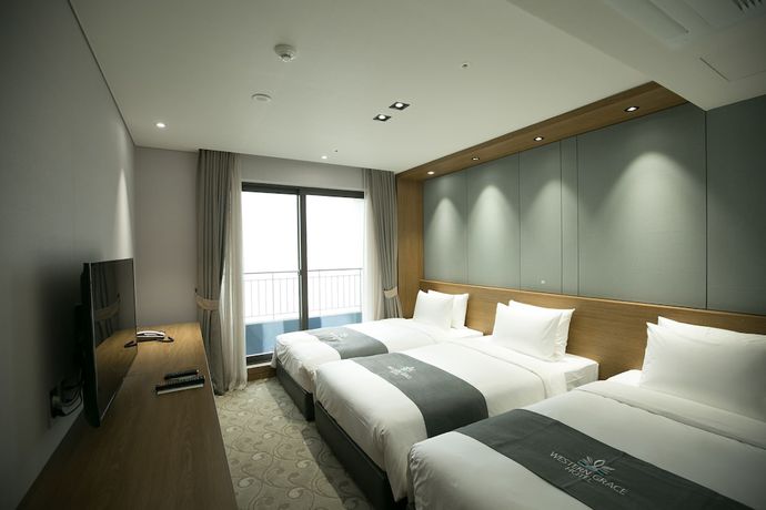 Imagen de la habitación del Hotel Western Grace. Foto 16
