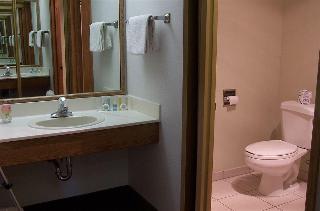 Imagen general del Hotel Western Holiday Lodge. Foto 3