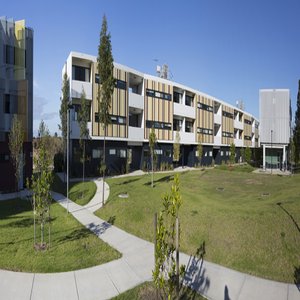 Imagen general del Hotel Western Sydney University Vill. Foto 11