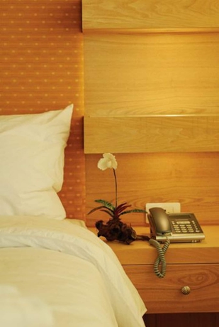 Imagen de la habitación del Hotel Westerngrand Ratchaburi. Foto 7