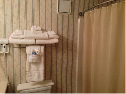 Imagen de la habitación del Hotel Westford Regency Inn and Conference Center. Foto 5