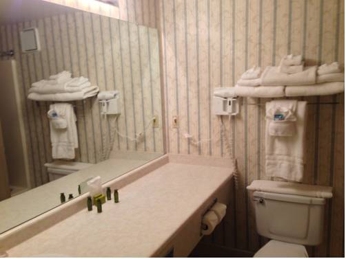Imagen de la habitación del Hotel Westford Regency Inn and Conference Center. Foto 6