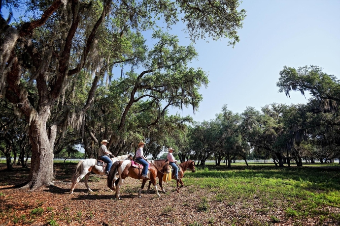 Imagen de los interiores del Hotel Westgate River Ranch Resort and Rodeo. Foto 10