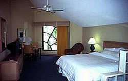 Imagen de la habitación del Hotel Westin (Pool View). Foto 3