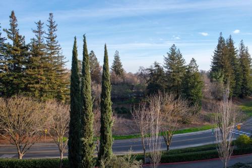 Imagen de la habitación del Hotel Westin Sacramento. Foto 19
