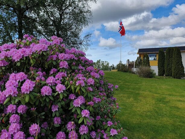 Imagen general del Hotel Westland hotel AS. Foto 5