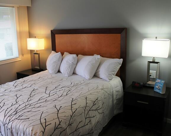Imagen de la habitación del Hotel Westridge Motor Inn. Foto 16